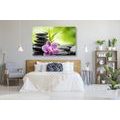 CANVAS PRINT MEDITATIVE ZEN COMPOSITION - PICTURES FENG SHUI - PICTURES