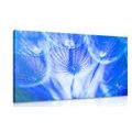 CANVAS PRINT DANDELION IN A BLUE DESIGN - PICTURES FLOWERS - PICTURES