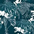 SELF ADHESIVE WALLPAPER TROPICAL MONSTERA LEAVES - SELF-ADHESIVE WALLPAPERS - WALLPAPERS