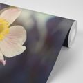 SELF ADHESIVE WALL MURAL DELICACY OF A FLOWER - SELF-ADHESIVE WALLPAPERS - WALLPAPERS