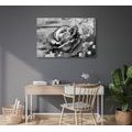 QUADRO SU TELA – ROSE VINTAGE IN BIANCO E NERO - QUADRI BIANCO E NERO - STAMPE E QUADRI