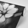 SELF ADHESIVE WALL MURAL GARDEN BLACK-AND-WHITE COSMOS FLOWER - SELF-ADHESIVE WALLPAPERS - WALLPAPERS