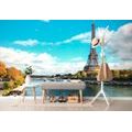 WALL MURAL BEAUTIFUL PANORAMA OF PARIS - WALLPAPERS CITIES - WALLPAPERS