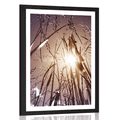 POSTER WITH MOUNT FIELD GRASS - NATURE - POSTERS