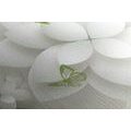 CANVAS PRINT ABSTRACT FLOWERS - PICTURES - 🔥 TOTAL SALE 🔥