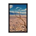 POSTER ARID LANDSCAPE - NATURE - POSTERS