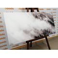 CANVAS PRINT BLACK AND WHITE MISTY FOREST - BLACK AND WHITE PICTURES - PICTURES