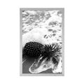 POSTER PINEAPPLE IN AN OCEAN WAVE IN BLACK AND WHITE - BLACK AND WHITE - POSTERS