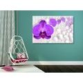 CANVAS PRINT ORCHID ON AN ABSTRACT BACKGROUND - PICTURES FLOWERS - PICTURES