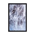 POSTER MAKRO PUSTEBLUME - BLUMEN - POSTER