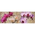 SELF ADHESIVE PHOTO WALLPAPER FOR KITCHEN BEAUTIFUL ORCHID - WALLPAPERS