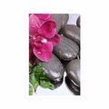 POSTER BLOOMING ORCHID AND WELLNESS STONES - FENG SHUI - POSTERS