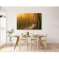 CANVAS PRINT PATH TO THE FOREST - PICTURES OF NATURE AND LANDSCAPE - PICTURES