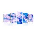5-PIECE CANVAS PRINT BEAUTIFUL FEATHERS - STILL LIFE PICTURES{% if product.category.pathNames[0] != product.category.name %} - PICTURES{% endif %}