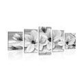 5-PIECE CANVAS PRINT LUXURIOUS MAGNOLIA WITH PEARLS IN BLACK AND WHITE DESIGN - BLACK AND WHITE PICTURES - PICTURES