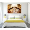 CANVAS PRINT INDIAN DREAM CATCHER - PICTURES FENG SHUI - PICTURES