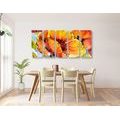 5-PIECE CANVAS PRINT BOUQUET OF POPPY FLOWERS - PICTURES FLOWERS - PICTURES