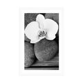 POSTER WITH MOUNT WELLNESS STONES AND AN ORCHID ON A WOODEN BACKGROUND IN BLACK AND WHITE - BLACK AND WHITE - POSTERS