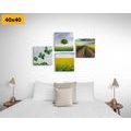 CANVAS PRINT SET DAZZLING NATURE - SET OF PICTURES - PICTURES