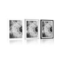 POSTER WITH MOUNT DANDELION SEEDS IN BLACK AND WHITE - BLACK AND WHITE - POSTERS