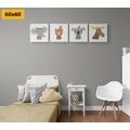 CANVAS PRINT SET CUTE ANIMALS - SET OF PICTURES - PICTURES