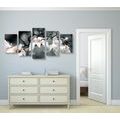 5-PIECE CANVAS PRINT AWAKENING MAGNOLIA - PICTURES FLOWERS - PICTURES