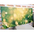 CANVAS PRINT MORNING DEW - PICTURES OF NATURE AND LANDSCAPE - PICTURES