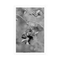 POSTER FLOWERS IN BLACK AND WHITE - BLACK AND WHITE - POSTERS