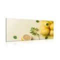 CANVAS PRINT LEMONS WITH MINT - PICTURES OF FOOD AND DRINKS - PICTURES