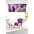 5-TEILIGES WANDBILD FRIEDLICHER BUDDHA - BILDER MIT FENG SHUI-MOTIVEN - BILDER