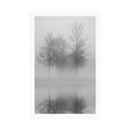 POSTER TREES IN THE FOG IN BLACK AND WHITE - BLACK AND WHITE - POSTERS