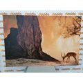 WANDBILD AFRIKANISCHE ANTILOPE - BILDER TIERE - BILDER