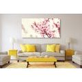 CANVAS PRINT PINK CHERRY BLOSSOMS - PICTURES FLOWERS - PICTURES