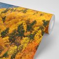 SELF ADHESIVE WALL MURAL VIEW OF A MAJESTIC FOREST - SELF-ADHESIVE WALLPAPERS - WALLPAPERS