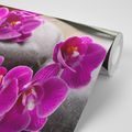 FOTOTAPETE WUNDERSCHÖNE ORCHIDEE UND ZEN-STEINE - TAPETEN MIT FENG SHUI-MOTIVEN - TAPETEN