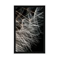 POSTER DANDELION BEAUTY - FLOWERS - POSTERS