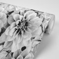 WALL MURAL DAHLIA FLOWERS IN BLACK AND WHITE - BLACK AND WHITE WALLPAPERS - WALLPAPERS