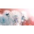 CANVAS PRINT DANDELION WITH ABSTRACT ELEMENTS - PICTURES FLOWERS - PICTURES