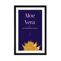 POSTER WITH MOUNT AND THE INSCRIPTION ALOE VERA - MOTIFS FROM OUR WORKSHOP - POSTERS