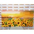 WANDBILD SONNENBLUMENFELD - BILDER BLUMEN - BILDER