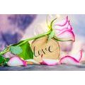 CANVAS PRINT ROMANTIC CONFESSION LOVE - PICTURES WITH INSCRIPTIONS AND QUOTES - PICTURES