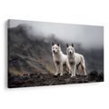 OBRAZ VLCI V MLHAVÝCH HORÁCH - OBRAZY PSI - OBRAZY