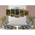 5-PIECE CANVAS PRINT NATURE BATHED IN THE SUN - PICTURES OF NATURE AND LANDSCAPE - PICTURES