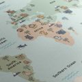 WANDBILD AUF KORK TIERWELT AUF DER KARTE - WANDBILDER AUF KORK - BILDER