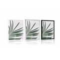 POSTER BEAUTIFUL PALM LEAF - STILL LIFE - POSTERS