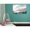 CANVAS PRINT BIRDS FLYING OVER THE LANDSCAPE IN BLACK AND WHITE - BLACK AND WHITE PICTURES - PICTURES