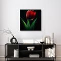OBRAZ KVĚT TULIPÁNU V NOCI - OBRAZY TULIPÁN - OBRAZY