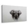OBRAZ MAJESTÁTNÍ SLON V MLZE - OBRAZY SLONI - OBRAZY