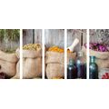 5-PIECE CANVAS PRINT MEDICINAL HERBS - PICTURES OF FOOD AND DRINKS - PICTURES