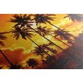 TABLEAU SUR TOILE – PALMIERS DE COCO SUR LA PLAGE - TABLEAUX DE LA NATURE ET DES PAYSAGES - TABLEAUX
